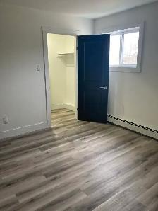 Fully Renovated Unit Available August 7th! - Photo 7