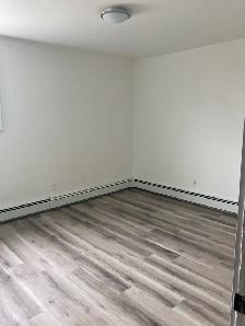 Fully Renovated Unit Available August 7th! - Photo 9