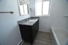 Renovated 2-bedroom - Avail Sept - 114 George - Photo 9