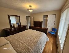Rental 1  Montague Drive Lake Loon - Photo 3