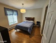 Rental 1  Montague Drive Lake Loon - Photo 4