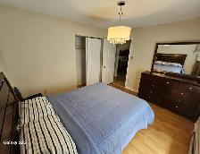 Rental 1  Montague Drive Lake Loon - Photo 5