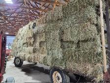 Timothy Alfalfa Mixed Hay Bales - Very Good Quality-1st Cutting