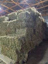 Timothy Alfalfa Mixed Hay Bales - Very Good Quality-1st Cutting - Photo 2