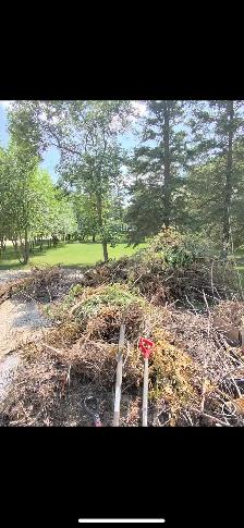 JUNK REMOVAL - Photo 2