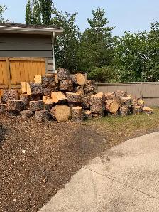 Free Firewood