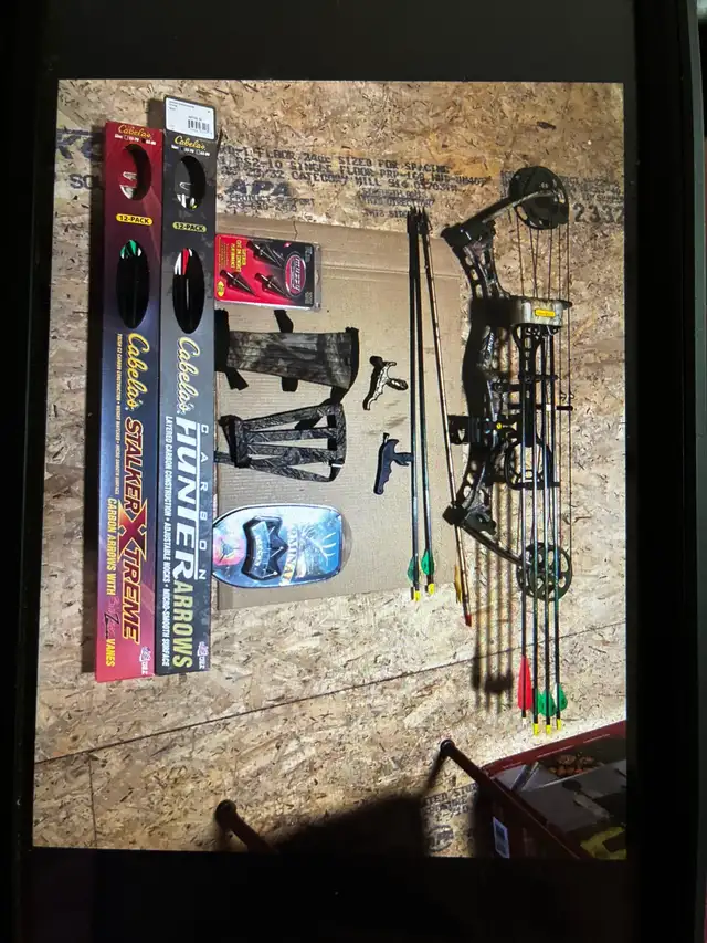 Compound Bow