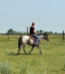 2023 AQHA Mare - Photo 9