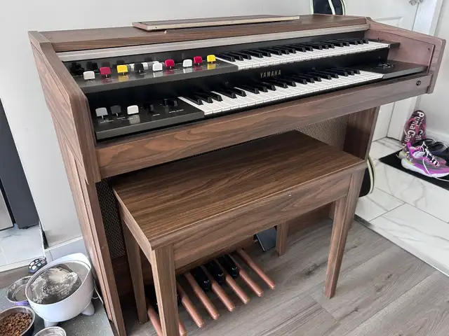 Free Organ
