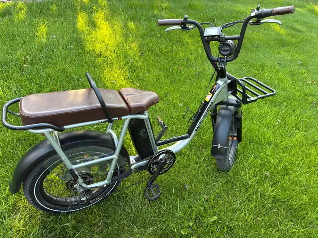 RadRunner Plus ebike
