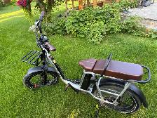 RadRunner Plus ebike - Photo 2