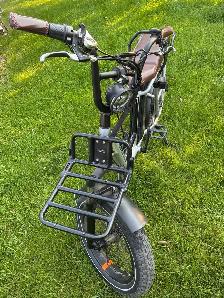 RadRunner Plus ebike - Photo 3