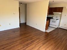 September 1 Large2 Bedroom Apartment Young Street Central HFX - Photo 2