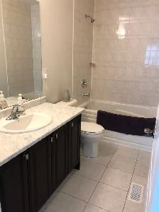 STUNNING NEW NIAGARA FALLS 3 BED 2.5 BATH HOME FOR RENT - Photo 13