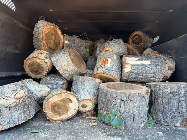 free firewood
