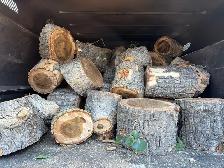 free firewood