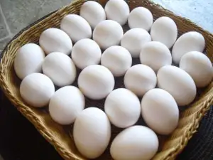 Fresh Farm Eggs for sale