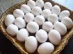 Fresh Farm Eggs for sale