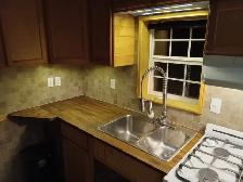Engineered Off-Grid Cabin on 2.02 Acres – Little Beaver Lake, AB - Photo 12