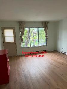 5 1/2 Apartment for rent (haut duplex)