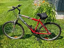 Supercycle   XTI-21 mountain bike.