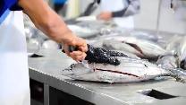 Fish-Cutter Brampton, ON Early Morning Shift: 4:00 AM Start