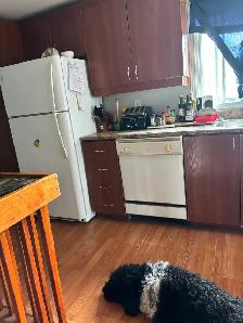 Très grande chambre à louer dans une maison! - Photo 4