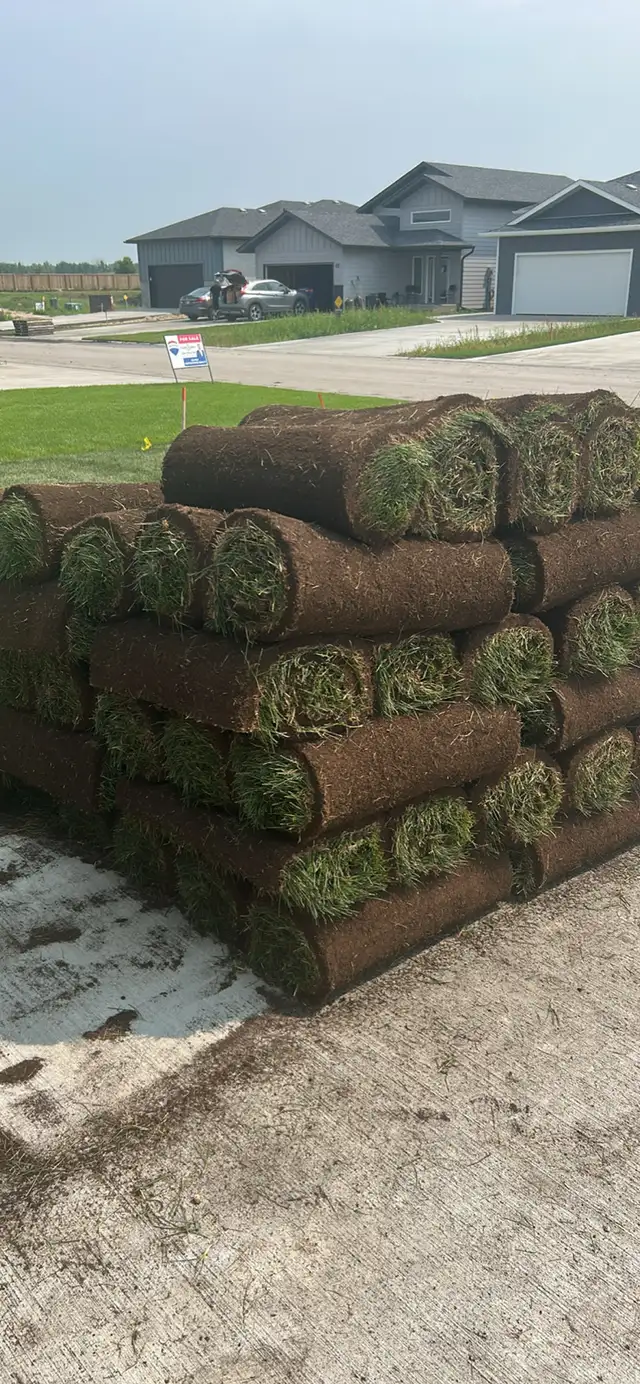 fresh grass sod for sale