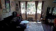 NEW BEDROOM AVAILABLE✨ MUST HAVE CONSULTATION  IF INTERESTED - Photo 2