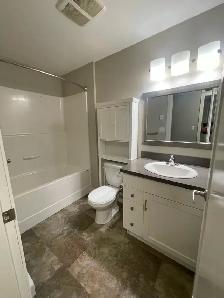 Ground Floor 2 bedroom apartment - Photo 4