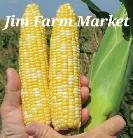 Super sweet corn - Photo 4