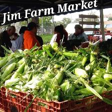 Super sweet corn - Photo 5