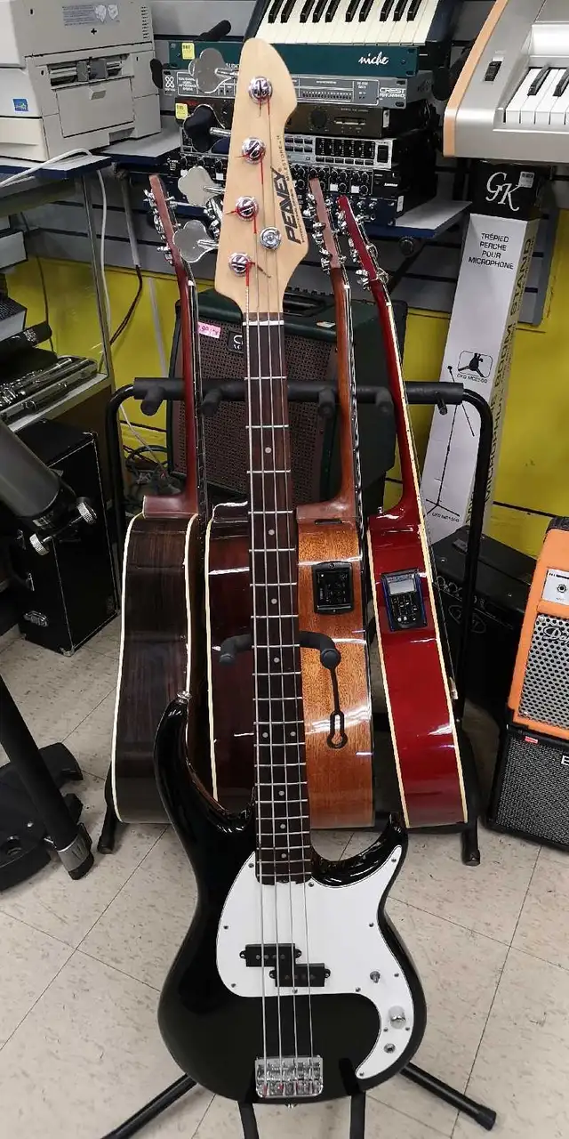 Bass Électrique Peavey