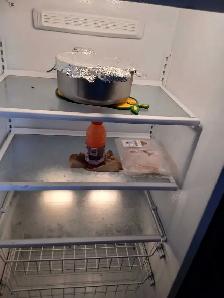 congélateur/Freezer commercial - Photo 5