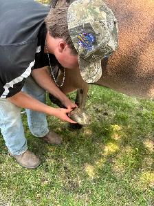 Kids friendly Mule - Photo 4
