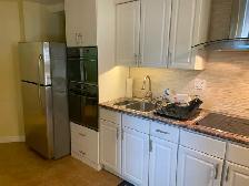 1 Bedroom Basement Apartment for Rent - Photo 5