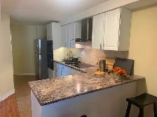 1 Bedroom Basement Apartment for Rent - Photo 6