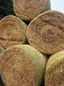 Hay for Sale