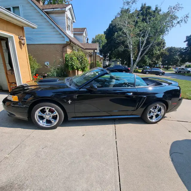 Mustang Convertible, 2000
