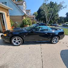 Mustang Convertible, 2000