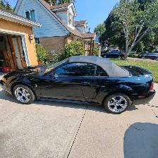 Mustang Convertible, 2000 - Photo 2