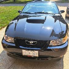 Mustang Convertible, 2000 - Photo 4