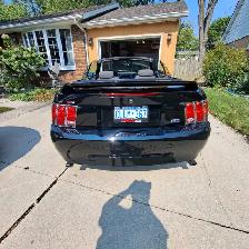 Mustang Convertible, 2000 - Photo 6