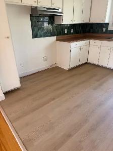 Grande 41/2 disponible Longueuil - Photo 2