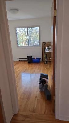 Grande 41/2 disponible Longueuil - Photo 7