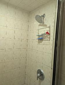 Cozy bright room private washroom parking @ York University - Photo 8