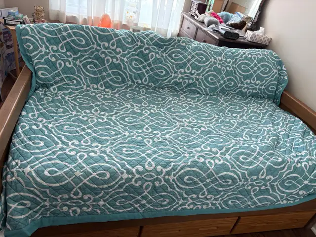 A COMPLETE COUCH AND GUEST-BED PACKAGE—READY TO ENJOY!