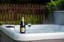 ORION HOT TUB FOR SALE