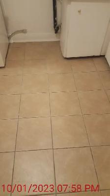 4.5 Apt | Uni • Rockland • Central Market • Parking - Photo 10