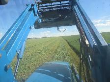 Alfalfa hay - Photo 2